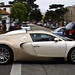 Mark Gillard Photo 29