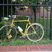 Jody Hoffman Photo 13