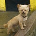 Marvin Small Photo 9