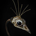 Jessica Joslin Photo 21