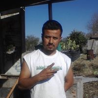 Omar Cavazos Photo 6