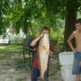 Gregory Webb Photo 44