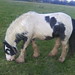Billy Gaskins Photo 3