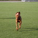 Robin Magyar Photo 5