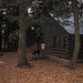 Michelle Ries Photo 26