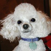 Betty Truax Photo 6