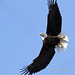 Dannie Ray Photo 13