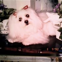 Susan Chenault Photo 14
