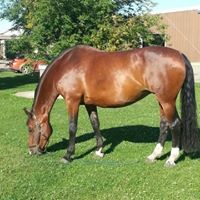 Kimberly Devries Photo 16