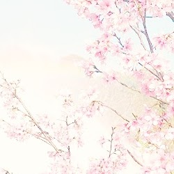 Ren Chen Photo 8