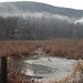 Anthony Garrison Photo 32