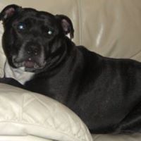 Benny Summers Photo 12
