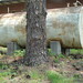 Delmar Robinson Photo 15