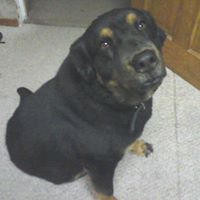 Christine Benson Photo 9