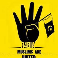 Siddique Abbasi Photo 9