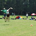 Shawn Adams Photo 38