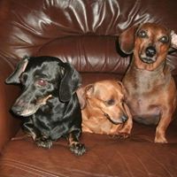 Brenda Mccomb Photo 2