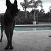 Sherry Shepard Photo 21