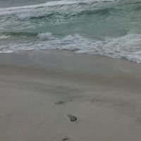 Deborah Livingston Photo 9