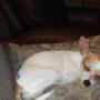 Carolyn Newman Photo 6