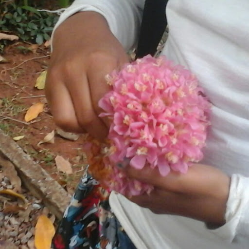 Norma Gomes Photo 21