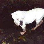 Angela Beattie Photo 10