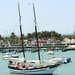 Debbie Harbour Photo 17