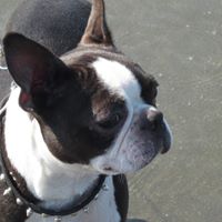 Dorothy Huber Photo 6