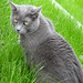 Tabitha Gray Photo 18