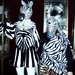 Catherine Berry Photo 45