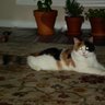 Heather Munoz Photo 20