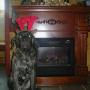 Debra Richard Photo 25