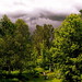 Susan Collette Photo 18