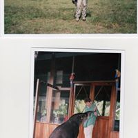 Sandra Crow Photo 16