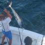 Michael Antonelli Photo 21