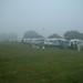 Misty Fink Photo 9