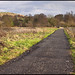 Martha Spires Photo 7