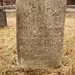 Elizabeth Baxter Photo 23