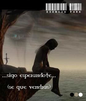 Alex Fernandez Photo 20