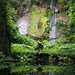 William Galle Photo 15