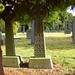 Mark Crosthwaite Photo 9