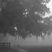 Misty Payne Photo 19