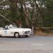 Debra Boyce Photo 19