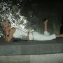 Kelli Webster Photo 18