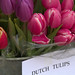 Frederick Spring Photo 9