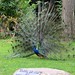 Felix Rodrigez Photo 7