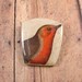 Robin Holtz Photo 13