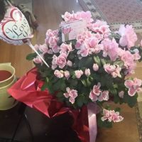 Brenda Meyer Photo 34
