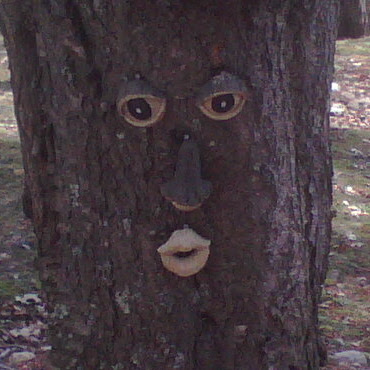Robert Mayes Photo 8