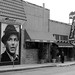 Frank Miceli Photo 11